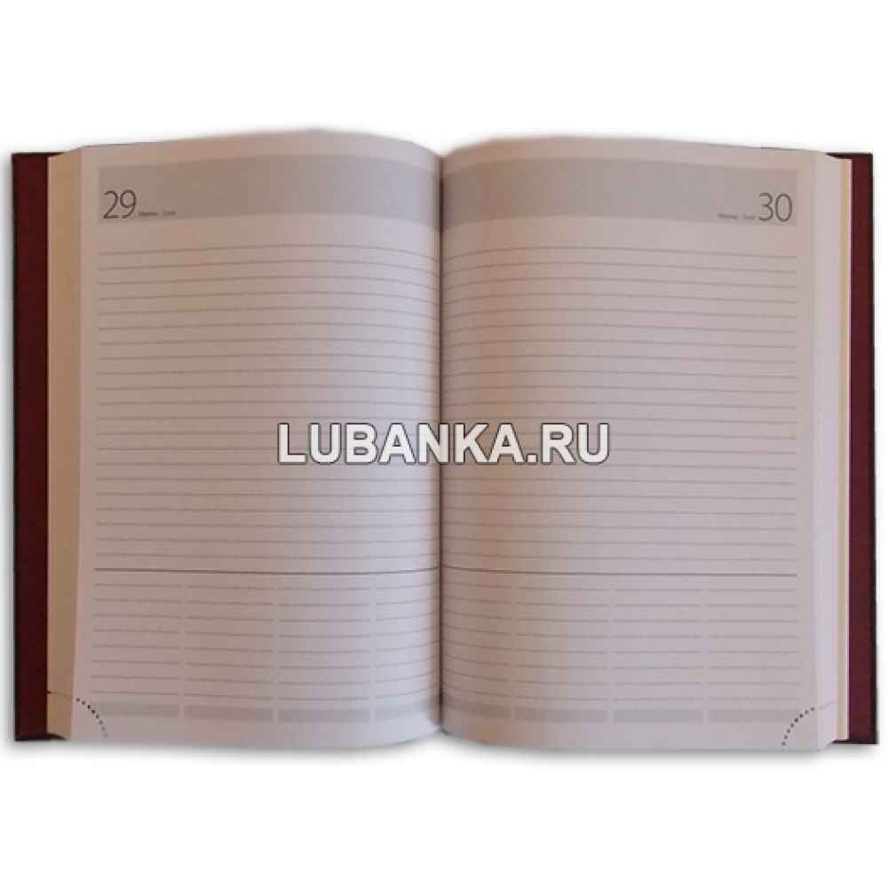 Именной ежедневник для мужчины «ФК Локомотив»