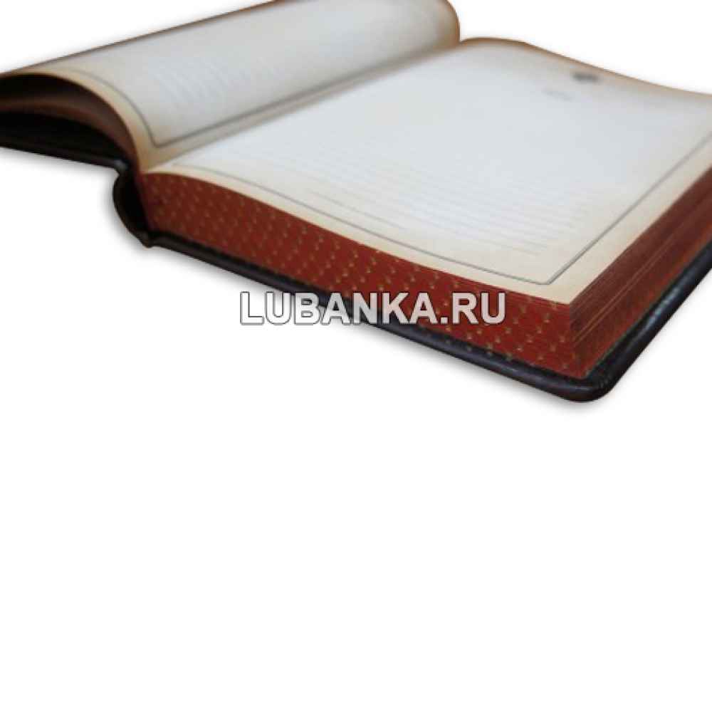 Ежедневник подарочный «Конторский журнал учета»