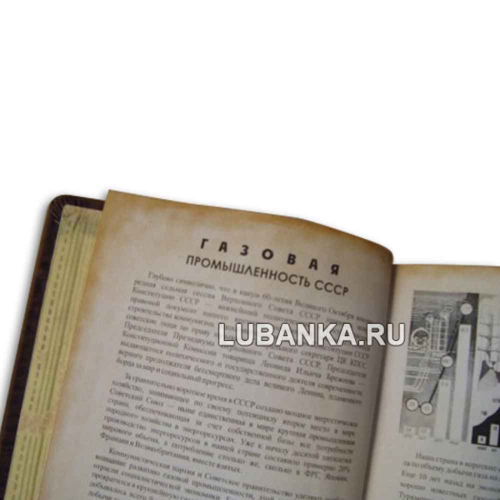 Еженедневник «Газовая учетная книжка»