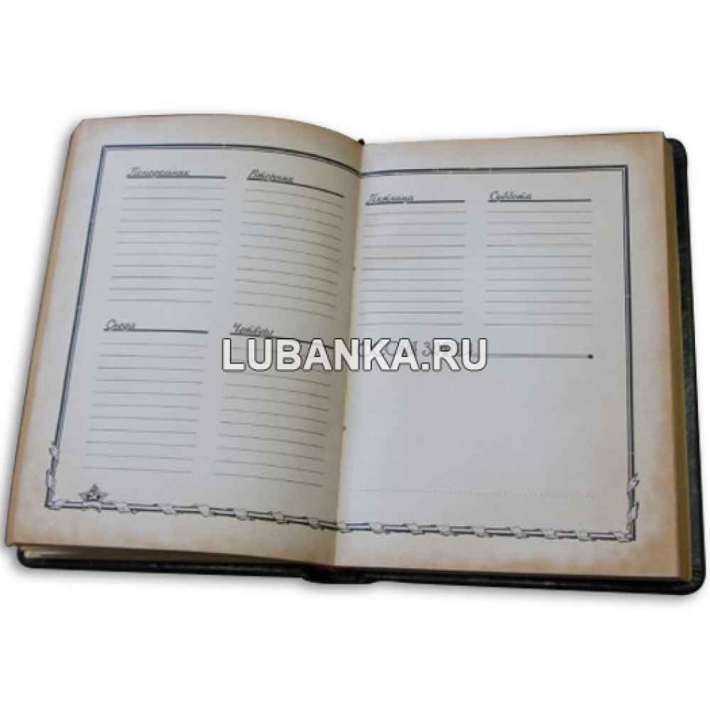 Ежедневник подарочный «Дневник энергетика»